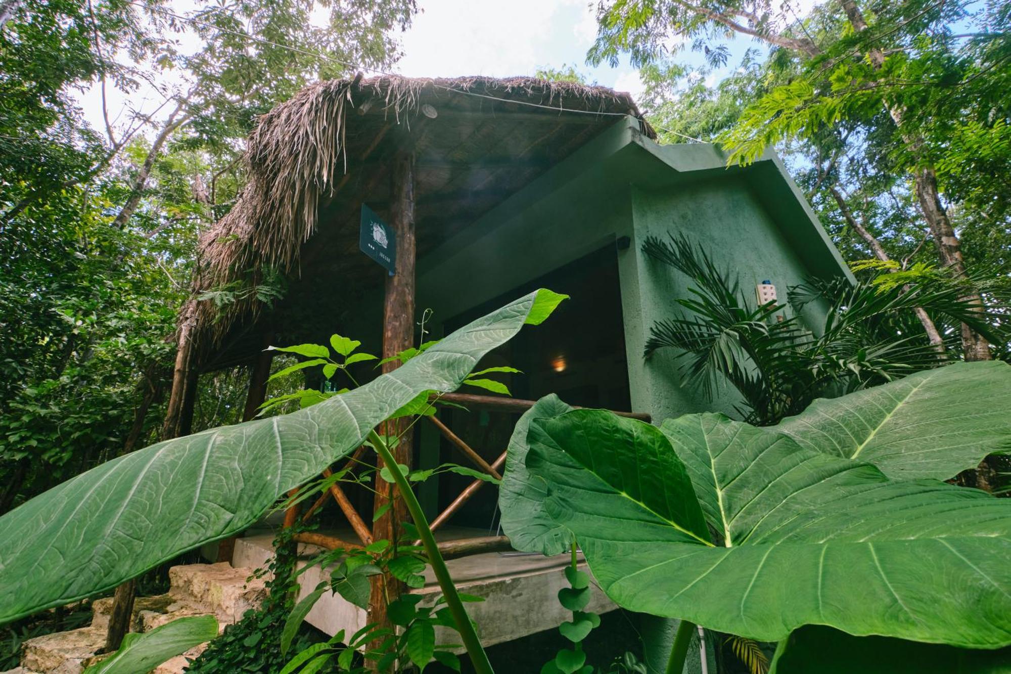 Villas Zamna - Jungle Villas Cozumel Exteriör bild