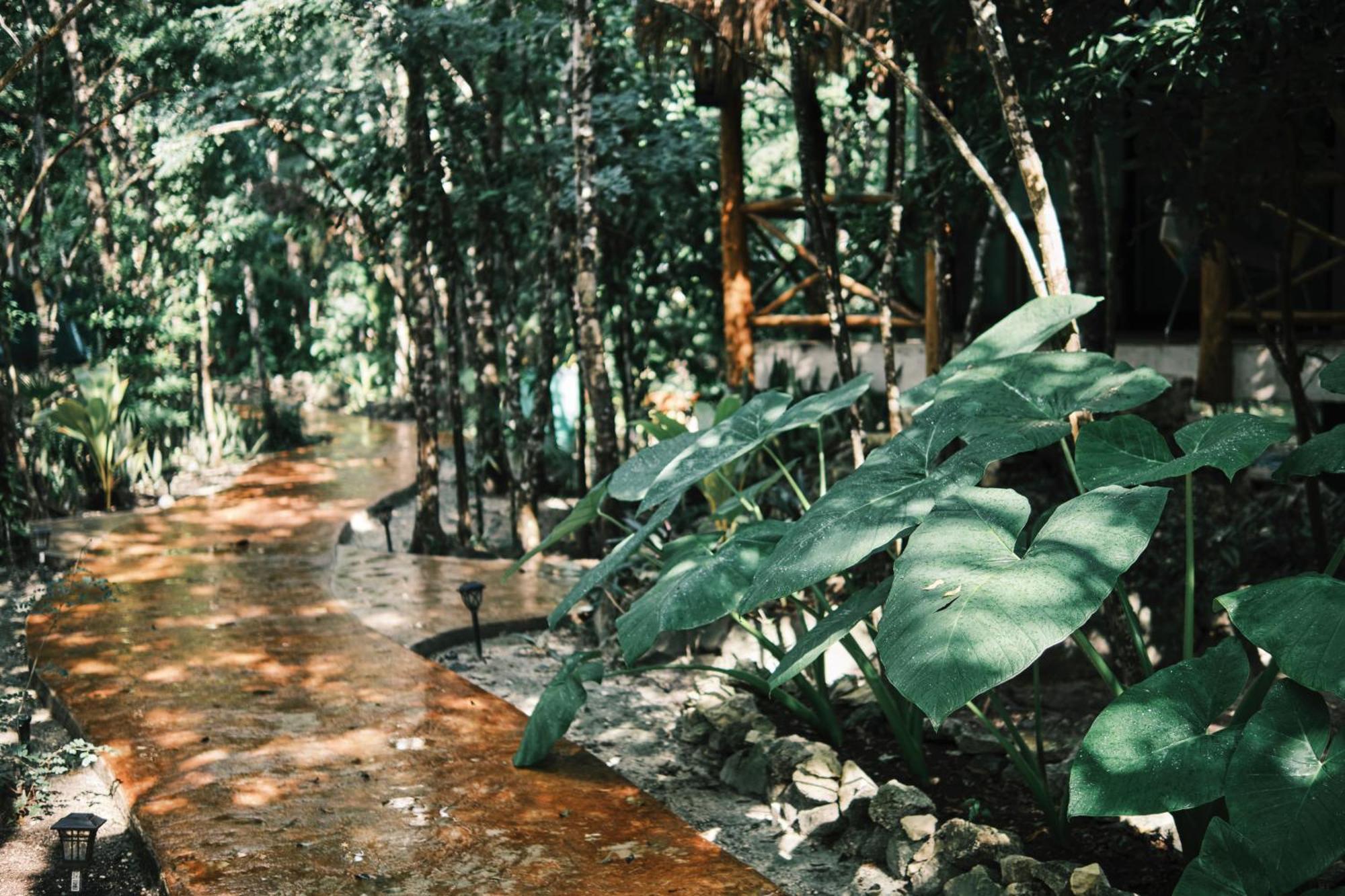 Villas Zamna - Jungle Villas Cozumel Exteriör bild