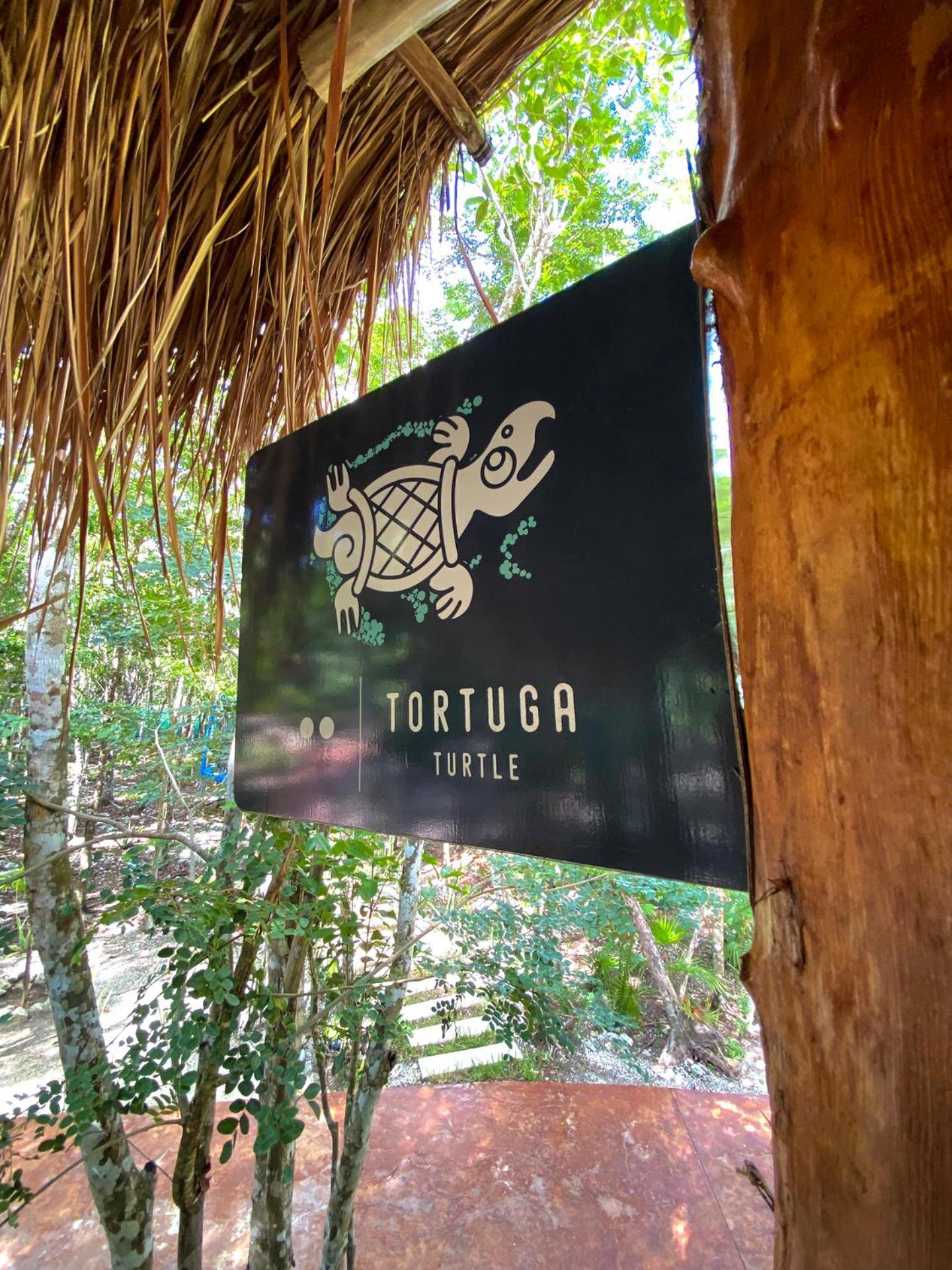 Villas Zamna - Jungle Villas Cozumel Exteriör bild