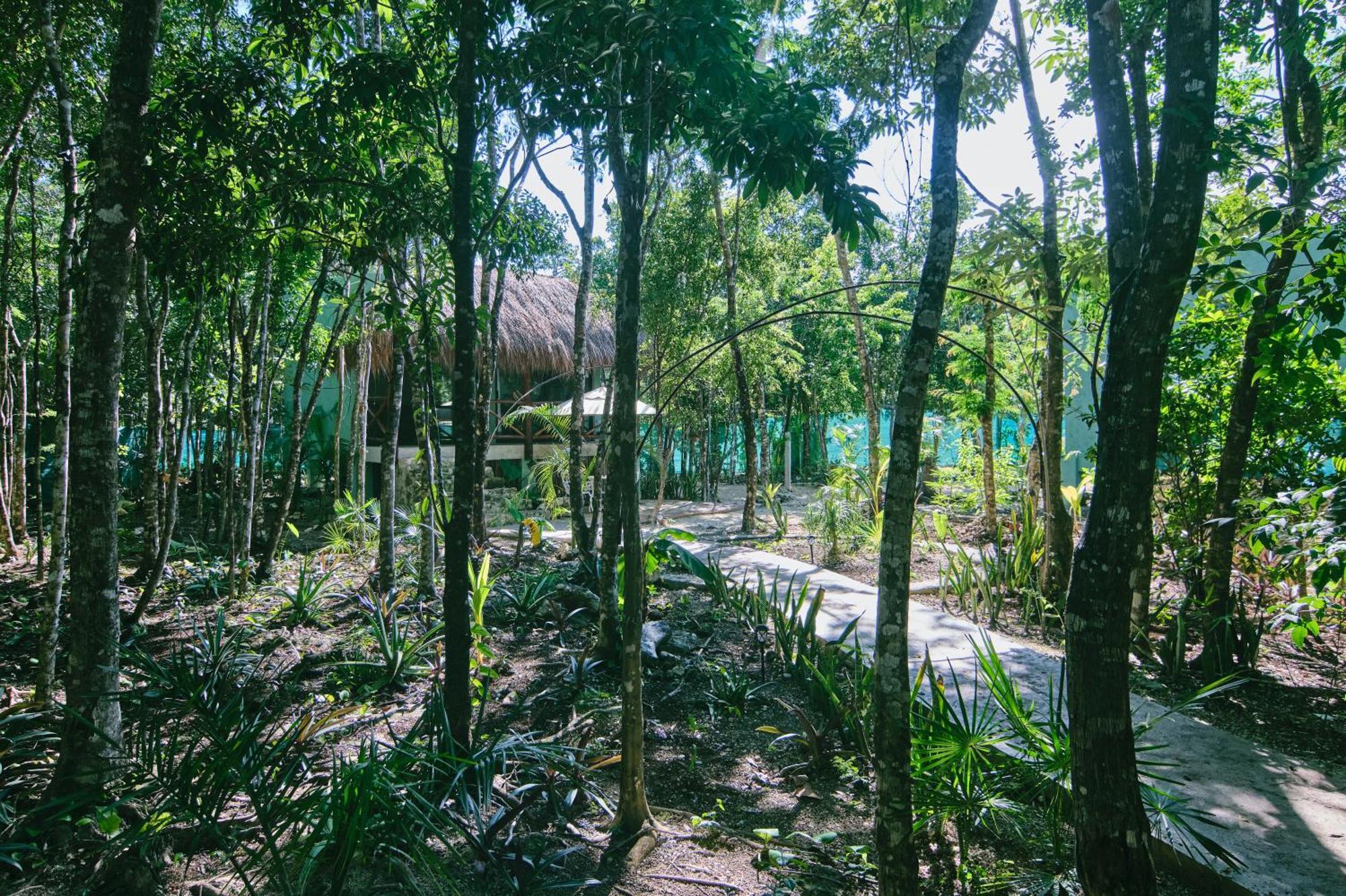 Villas Zamna - Jungle Villas Cozumel Exteriör bild