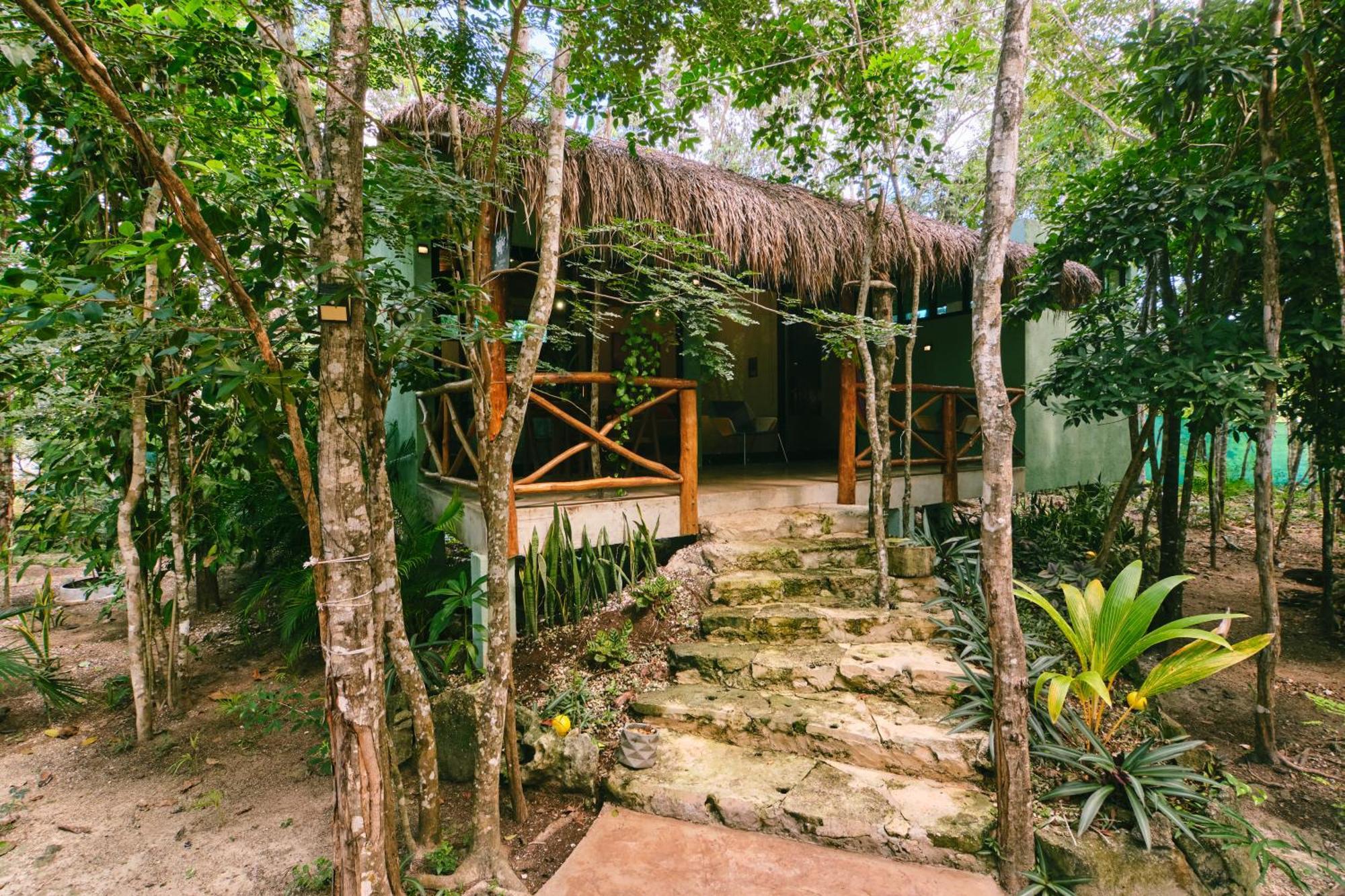 Villas Zamna - Jungle Villas Cozumel Exteriör bild