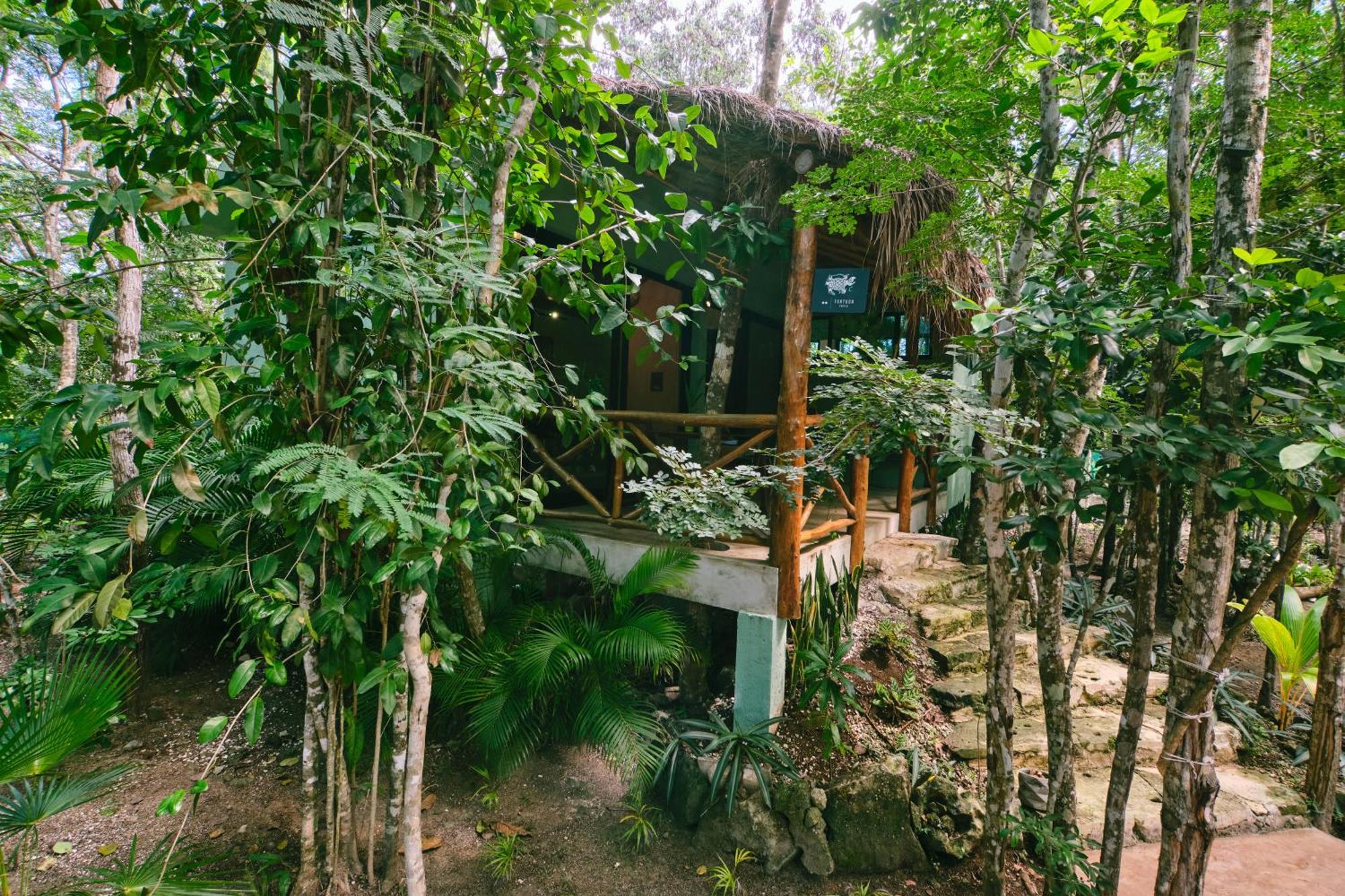 Villas Zamna - Jungle Villas Cozumel Exteriör bild
