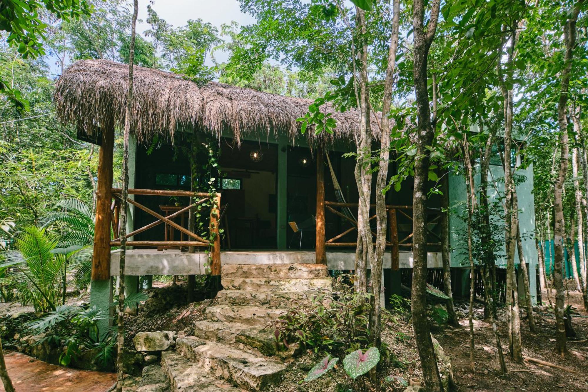 Villas Zamna - Jungle Villas Cozumel Exteriör bild