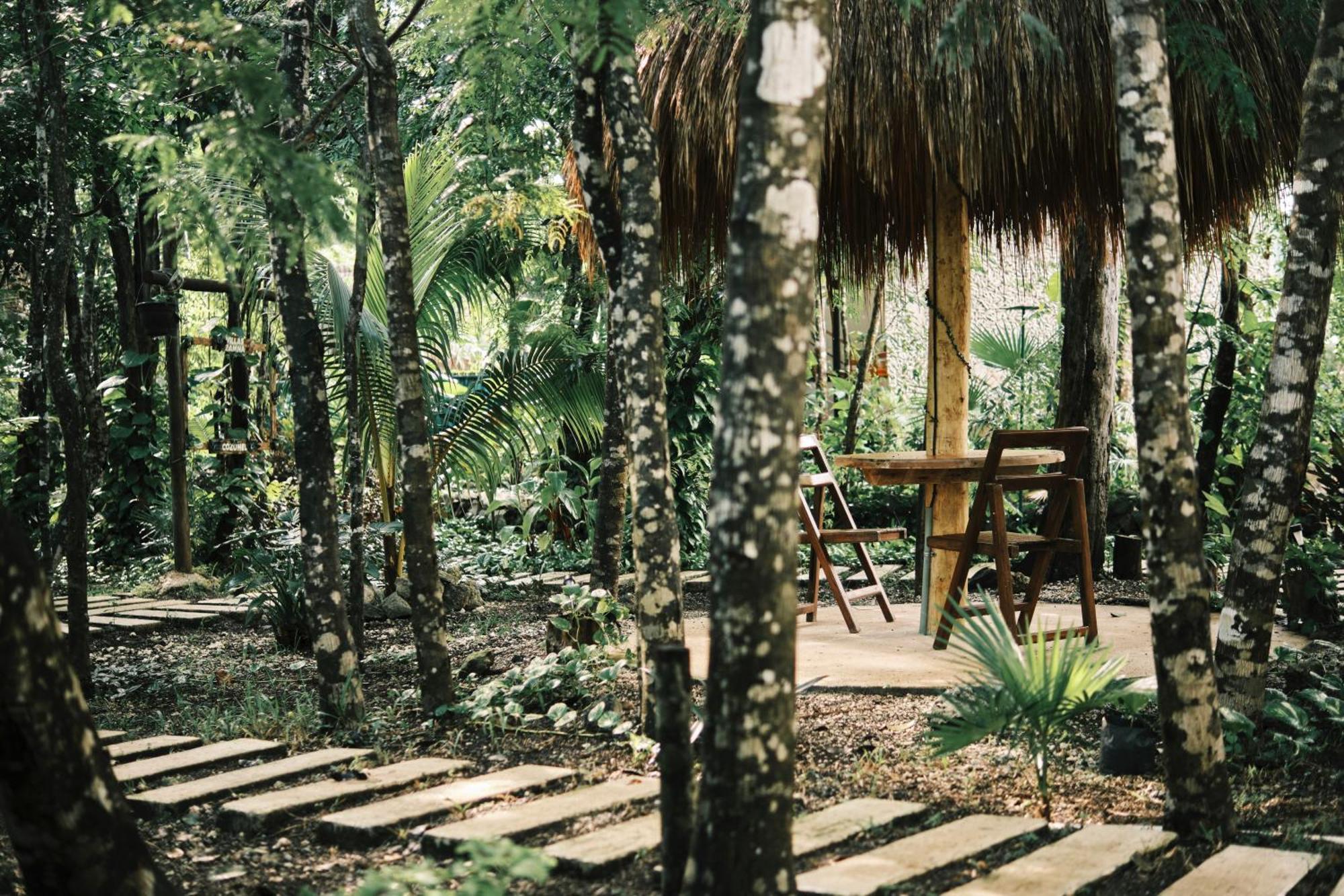 Villas Zamna - Jungle Villas Cozumel Exteriör bild
