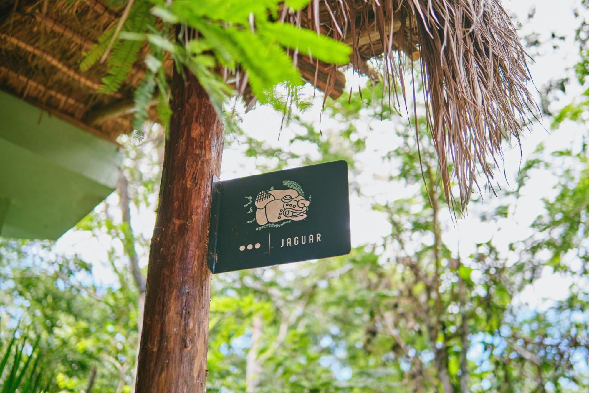 Villas Zamna - Jungle Villas Cozumel Exteriör bild